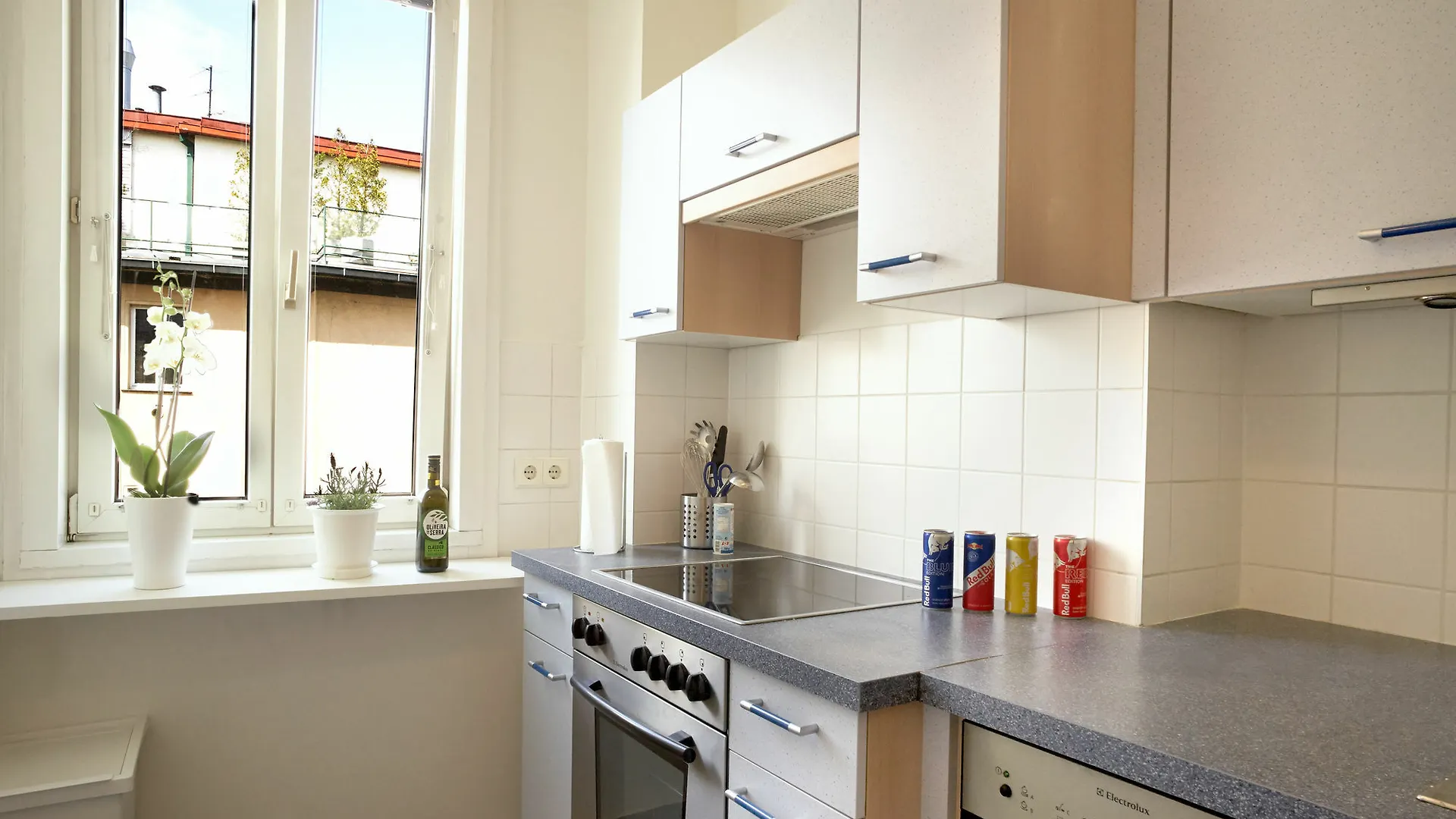 Opera City Center Apartments Vienna
